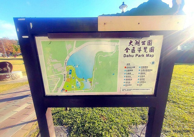 2024.01.19 台北大湖公園落羽松美景2-1(Bald Cypress at Taipei on Jan 19,2024,by SJKen.