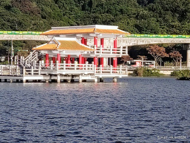 2024.01.19 台北大湖公園落羽松美景2-2 (Bald Cypress at Taipei on Jan 19,2024，by SJKen.