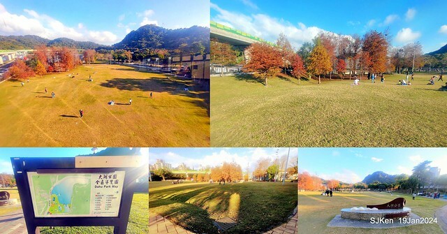 2024.01.19 台北大湖公園落羽松美景2-1(Bald Cypress at Taipei on Jan 19,2024,by SJKen.