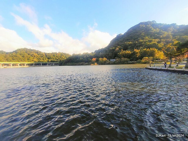 2024.01.19 台北大湖公園落羽松美景2-2 (Bald Cypress at Taipei on Jan 19,2024，by SJKen.