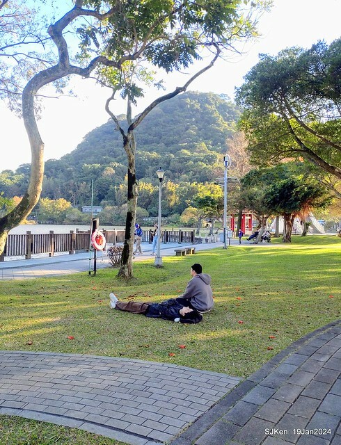 2024.01.19 台北大湖公園落羽松美景2-2 (Bald Cypress at Taipei on Jan 19,2024，by SJKen.