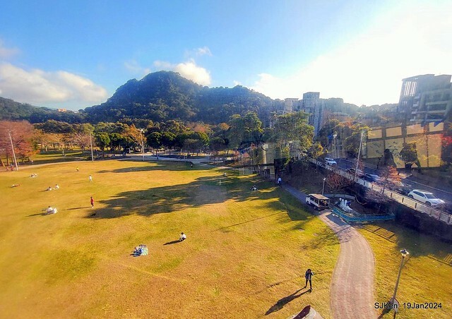 2024.01.19 台北大湖公園落羽松美景2-1(Bald Cypress at Taipei on Jan 19,2024,by SJKen.