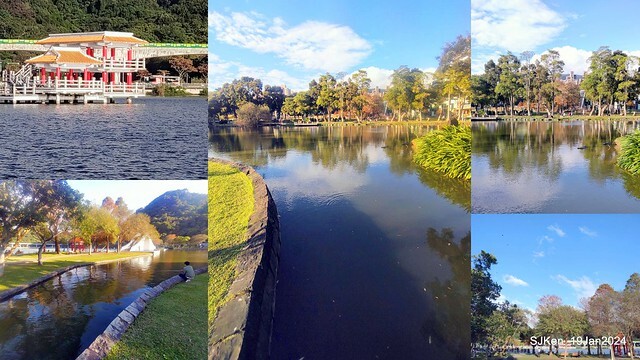 2024.01.19 台北大湖公園落羽松美景2-2 (Bald Cypress at Taipei on Jan 19,2024，by SJKen.