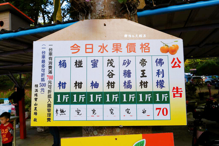 桔滿緣寶山農場 ❙ 滿山黃橙橙橘子隨你採,入園100元橘子吃