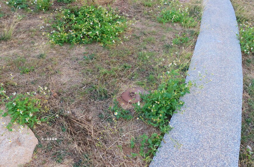 地雷主題館‧不可錯過的小金門烈嶼鐵漢堡、勇士堡，仿雷區公園，回憶當年的國共戰況 - 敦 小 蓮の食旅錄