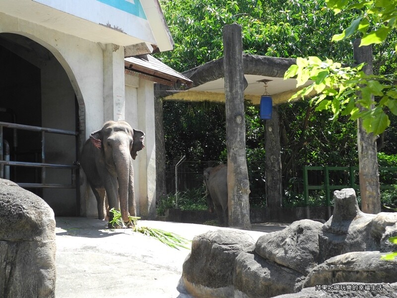 【台北市。文山區】台北動物園20.jpg