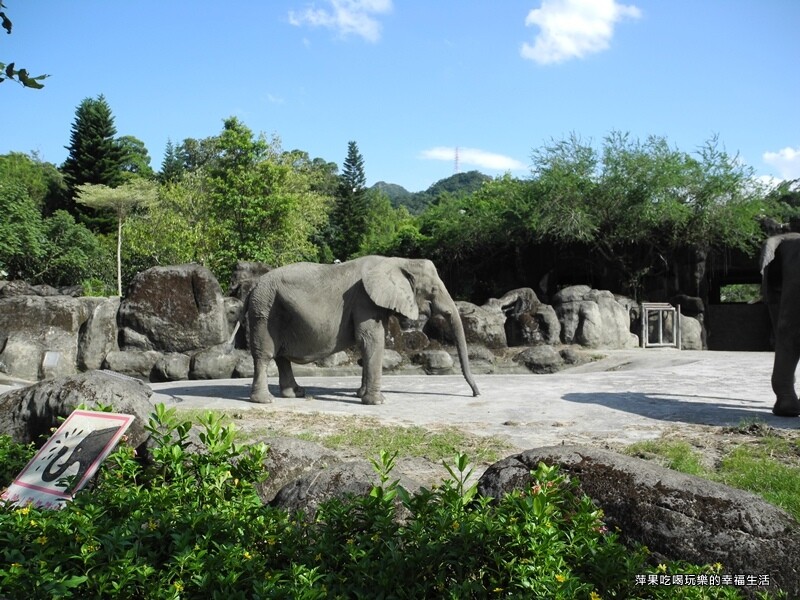 【台北市。文山區】台北動物園21.jpg
