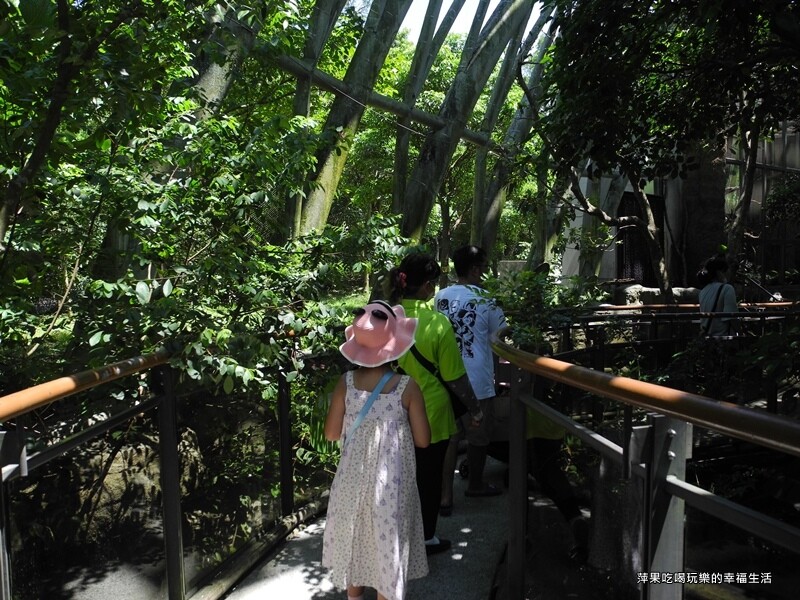 【台北市。文山區】台北動物園12.jpg