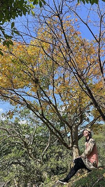 大IMG_0161 (1).jpeg