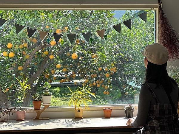 大IMG_0450 (1).jpeg