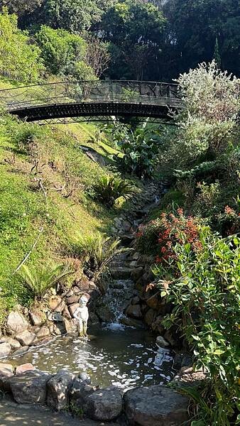 大IMG_0369 (1).jpeg