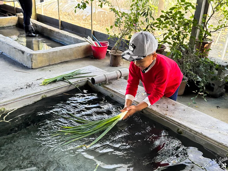 宜蘭縣三星鄉天送埤休閒農業區快樂遊》採蔥、爆米香體驗DIY、 特色民宿、排隊美食品嚐~~應有盡有