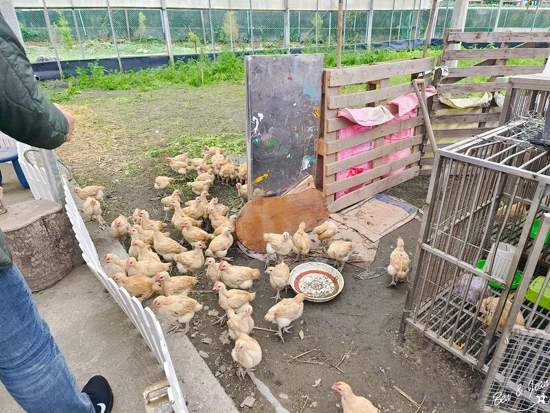 宜蘭縣三星鄉天送埤休閒農業區快樂遊》採蔥、爆米香體驗DIY、 特色民宿、排隊美食品嚐~~應有盡有