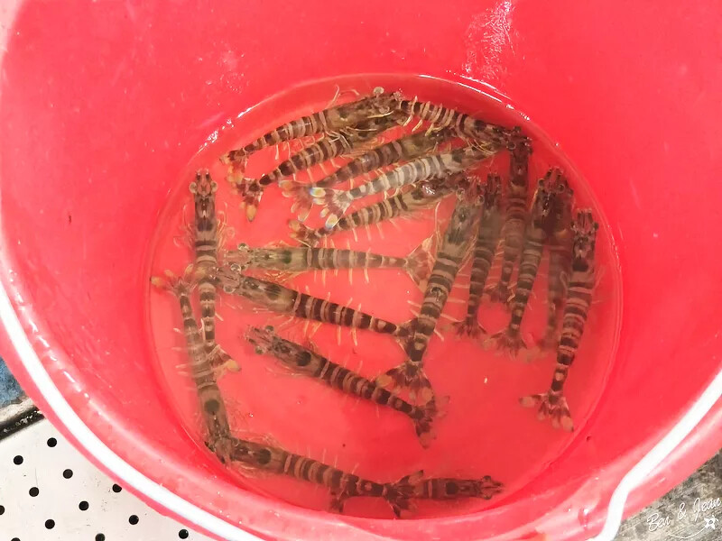 宜蘭縣五結鄉宜蘭一日遊》蘭陽溪口休閒農業區一日遊~精采獨木舟、蝦丸DIY 、釣蝦體驗,特色下午茶,快樂消遙遊