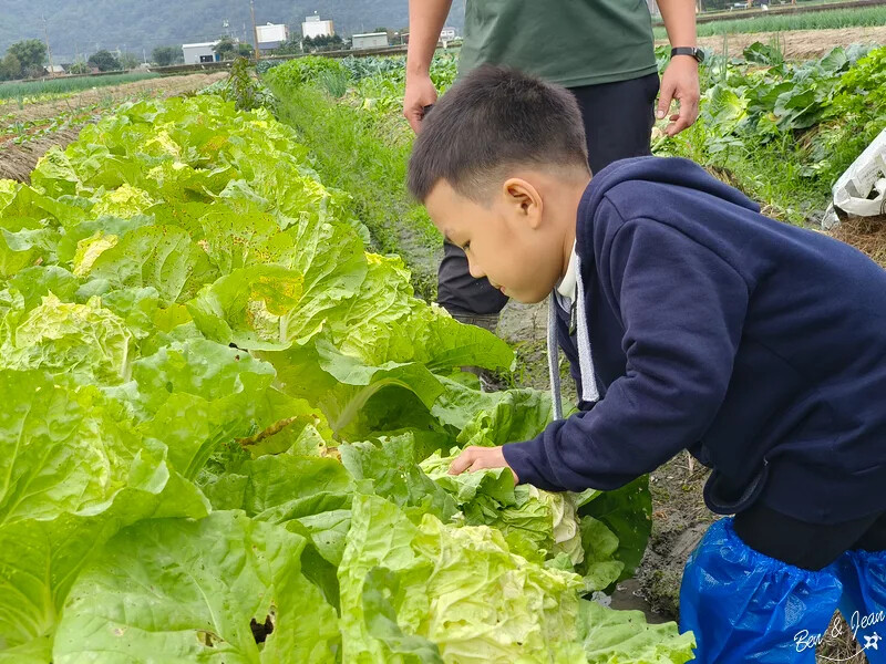 宜蘭縣三星鄉天送埤休閒農業區快樂遊》採蔥、爆米香體驗DIY、 特色民宿、排隊美食品嚐~~應有盡有