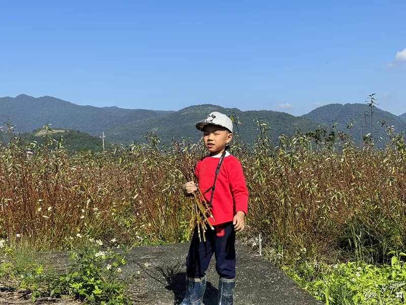 宜蘭縣三星鄉天送埤休閒農業區快樂遊》採蔥、爆米香體驗DIY、 特色民宿、排隊美食品嚐~~應有盡有