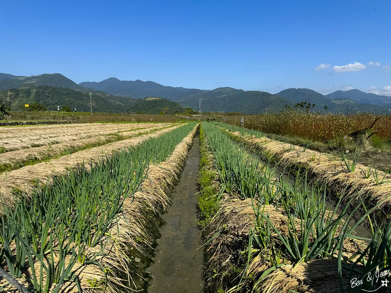 宜蘭縣三星鄉天送埤休閒農業區快樂遊》採蔥、爆米香體驗DIY、 特色民宿、排隊美食品嚐~~應有盡有