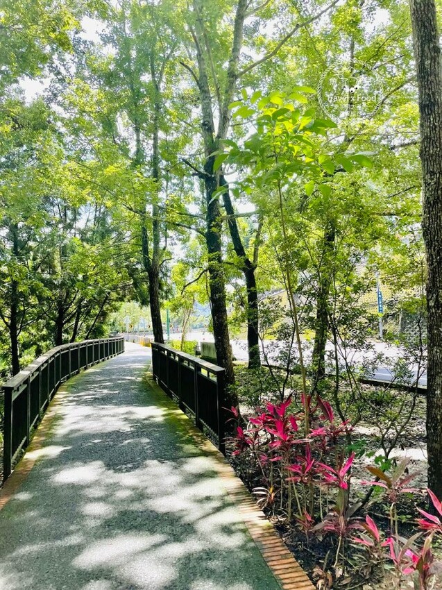  南投自然系景點：環湖自行車道/ WalkerLand窩客島整理提供 未經許可不可轉載