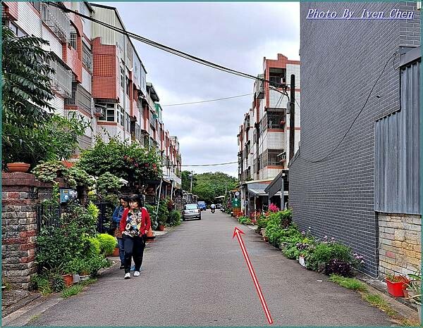《苗栗景點》假日趴趴走在雅致舒適的千坪日式庭園/森林步道奇花 《苗栗景點》假日趴趴走在雅致舒適的千坪日式庭園/森林步道奇花