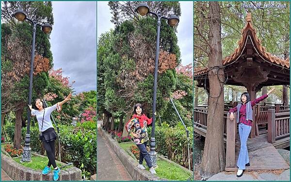 《苗栗景點》假日趴趴走在雅致舒適的千坪日式庭園/森林步道奇花 《苗栗景點》假日趴趴走在雅致舒適的千坪日式庭園/森林步道奇花