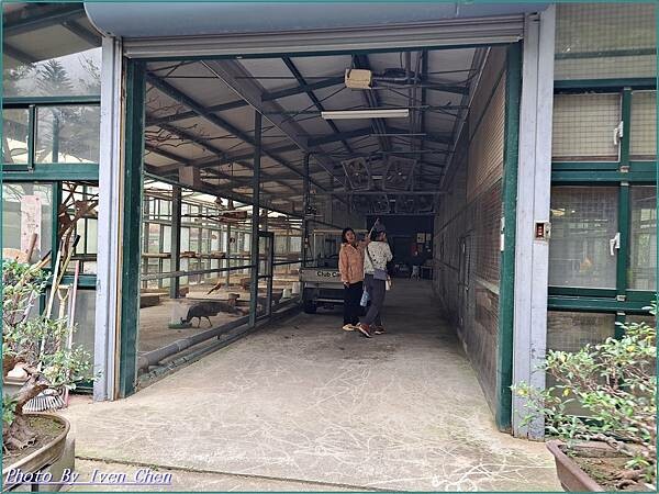 《苗栗景點》日式庭園/免門票/// 『品園日式花園』Iven 《苗栗景點》日式庭園/免門票/// 『品園日式花園』Iven