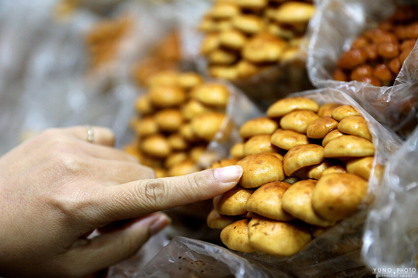 南投縣埔里鎮豐年靈芝菇類生態農場｜南投埔里親子旅遊景點推薦 散客免門票免費導覽 體驗採收樂趣 實現菇菇財富自由