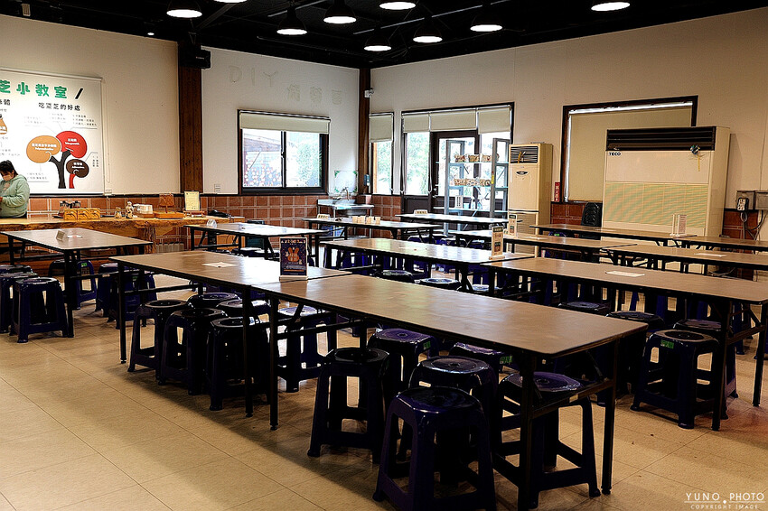 南投縣埔里鎮豐年靈芝菇類生態農場｜南投埔里親子旅遊景點推薦 散客免門票免費導覽 體驗採收樂趣 實現菇菇財富自由