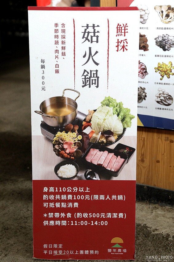 南投縣埔里鎮豐年靈芝菇類生態農場｜南投埔里親子旅遊景點推薦 散客免門票免費導覽 體驗採收樂趣 實現菇菇財富自由