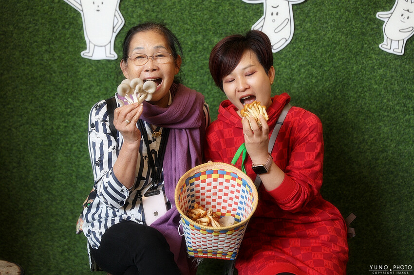 南投縣埔里鎮豐年靈芝菇類生態農場｜南投埔里親子旅遊景點推薦 散客免門票免費導覽 體驗採收樂趣 實現菇菇財富自由