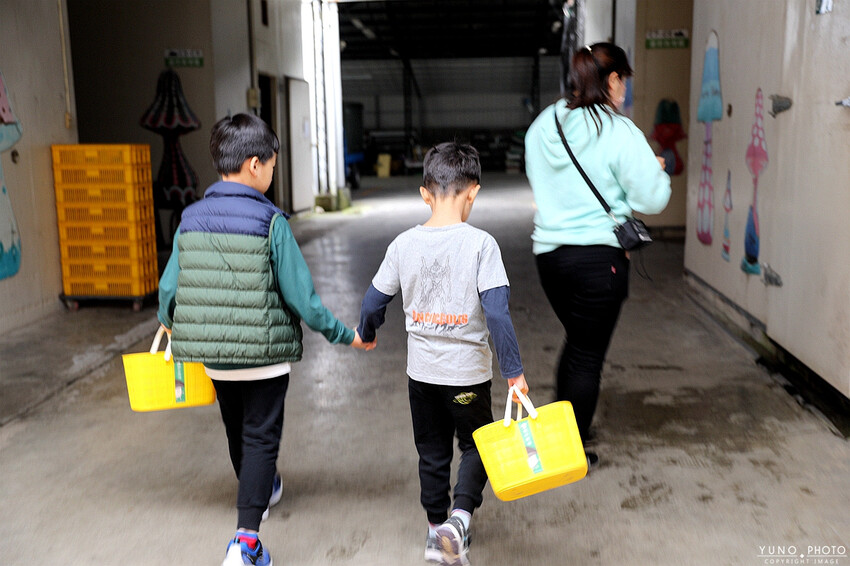 南投縣埔里鎮豐年靈芝菇類生態農場｜南投埔里親子旅遊景點推薦 散客免門票免費導覽 體驗採收樂趣 實現菇菇財富自由