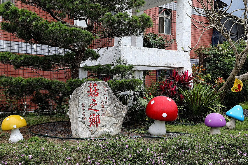 南投縣埔里鎮豐年靈芝菇類生態農場｜南投埔里親子旅遊景點推薦 散客免門票免費導覽 體驗採收樂趣 實現菇菇財富自由