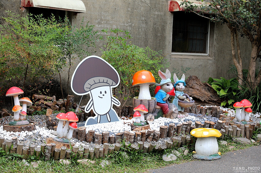 南投縣埔里鎮豐年靈芝菇類生態農場｜南投埔里親子旅遊景點推薦 散客免門票免費導覽 體驗採收樂趣 實現菇菇財富自由