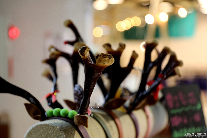 南投縣埔里鎮豐年靈芝菇類生態農場｜南投埔里親子旅遊景點推薦 散客免門票免費導覽 體驗採收樂趣 實現菇菇財富自由