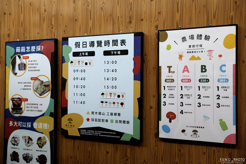 南投縣埔里鎮豐年靈芝菇類生態農場｜南投埔里親子旅遊景點推薦 散客免門票免費導覽 體驗採收樂趣 實現菇菇財富自由