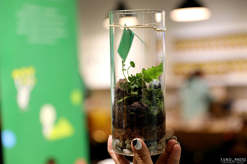 南投縣埔里鎮豐年靈芝菇類生態農場｜南投埔里親子旅遊景點推薦 散客免門票免費導覽 體驗採收樂趣 實現菇菇財富自由