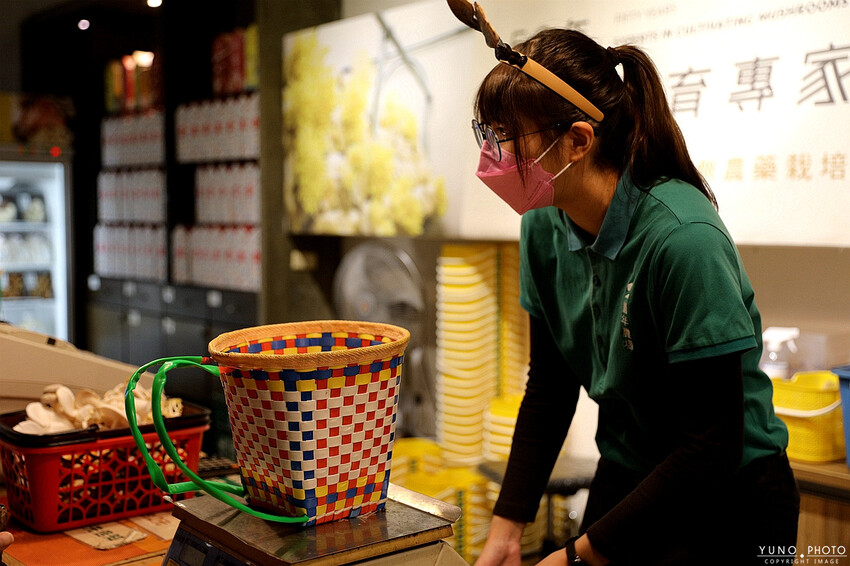 南投縣埔里鎮豐年靈芝菇類生態農場｜南投埔里親子旅遊景點推薦 散客免門票免費導覽 體驗採收樂趣 實現菇菇財富自由
