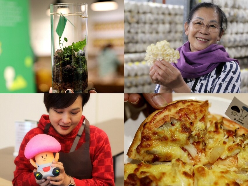 南投縣埔里鎮豐年靈芝菇類生態農場｜南投埔里親子旅遊景點推薦 散客免門票免費導覽 體驗採收樂趣 實現菇菇財富自由