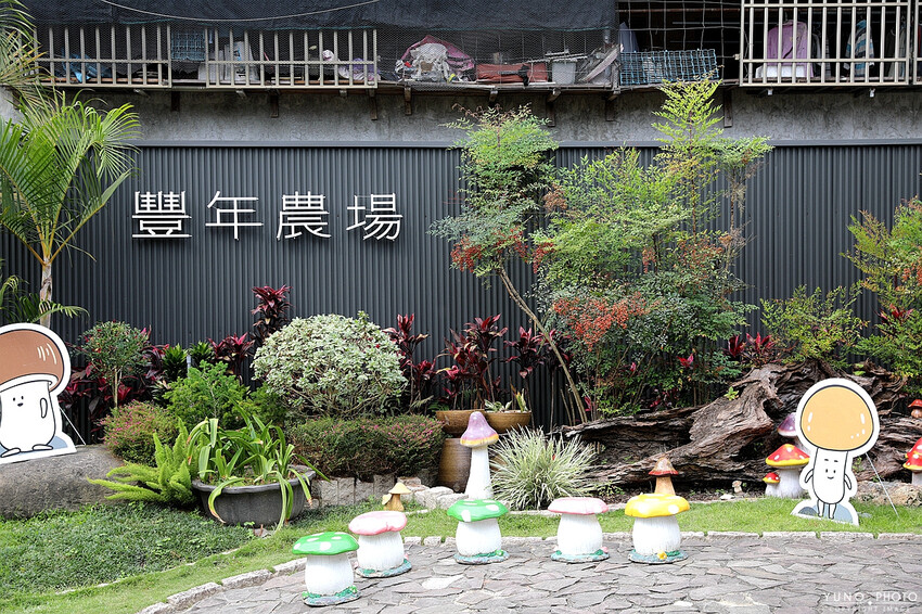 南投縣埔里鎮豐年靈芝菇類生態農場｜南投埔里親子旅遊景點推薦 散客免門票免費導覽 體驗採收樂趣 實現菇菇財富自由