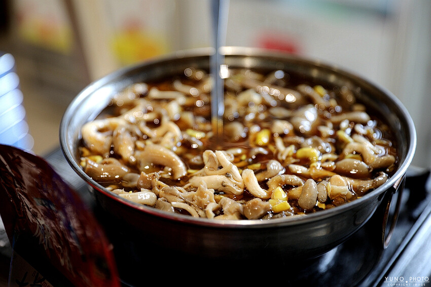 南投縣埔里鎮豐年靈芝菇類生態農場｜南投埔里親子旅遊景點推薦 散客免門票免費導覽 體驗採收樂趣 實現菇菇財富自由