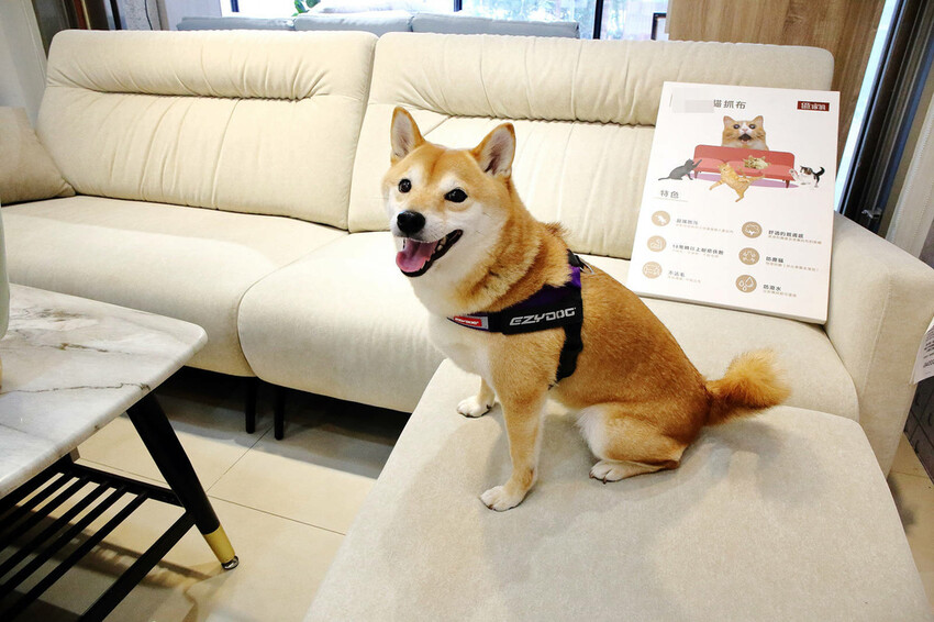 【億家俱】新竹家具行推薦，台灣MIT客製化、價格透明、系統家