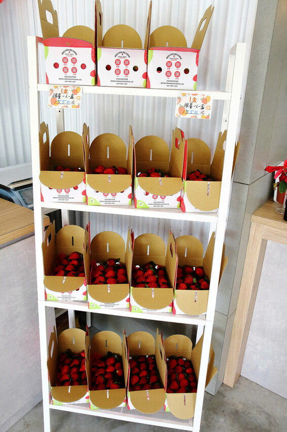 採草莓囉!苗栗大湖特色農場推薦,紅色琉璃瓦&SUHU Caf