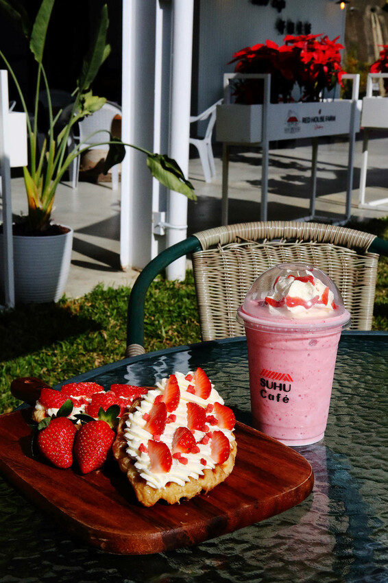 採草莓囉!苗栗大湖特色農場推薦,紅色琉璃瓦&SUHU Caf