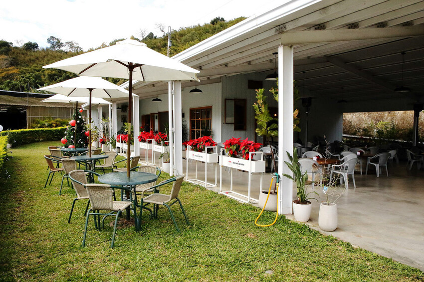 採草莓囉!苗栗大湖特色農場推薦,紅色琉璃瓦&SUHU Caf