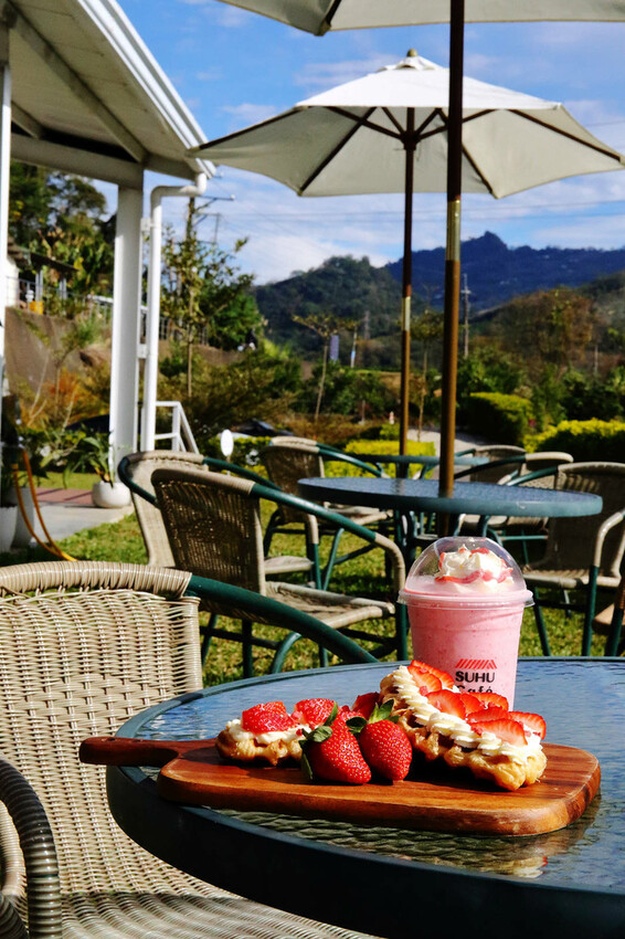 採草莓囉!苗栗大湖特色農場推薦,紅色琉璃瓦&SUHU Caf