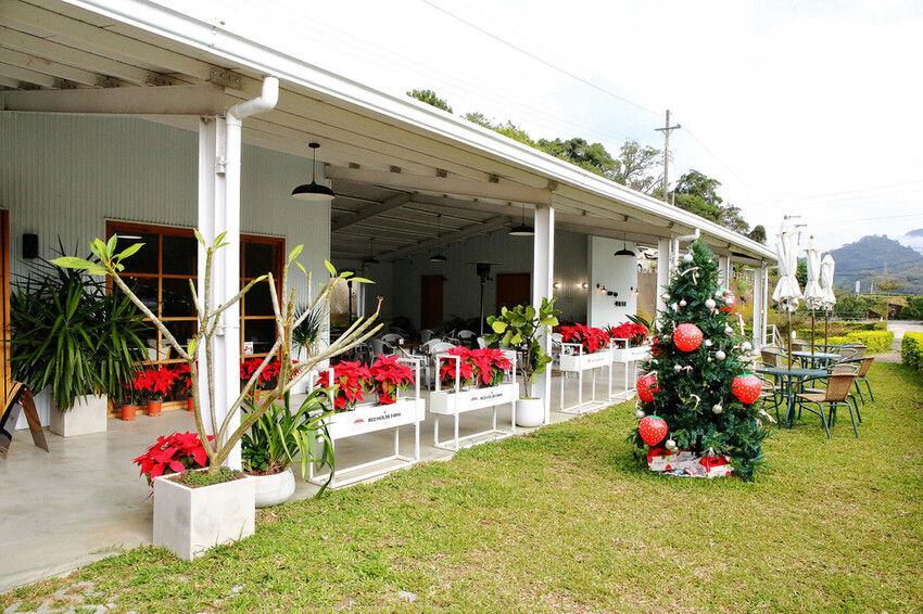 採草莓囉!苗栗大湖特色農場推薦,紅色琉璃瓦&SUHU Caf