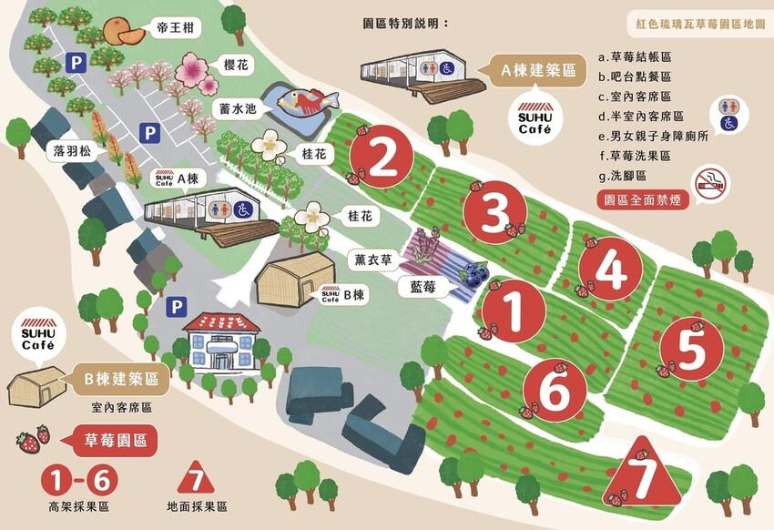 採草莓囉!苗栗大湖特色農場推薦,紅色琉璃瓦&SUHU Caf