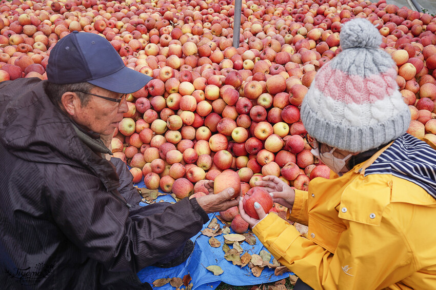 群馬沼田古民宅蘋果披薩體驗&老神溫泉一日遊!南鄉曲屋|吹割瀑布|新井耕吉郎紀念碑|金子果園|仙鄉溫泉 @緹雅瑪 美食旅遊趣