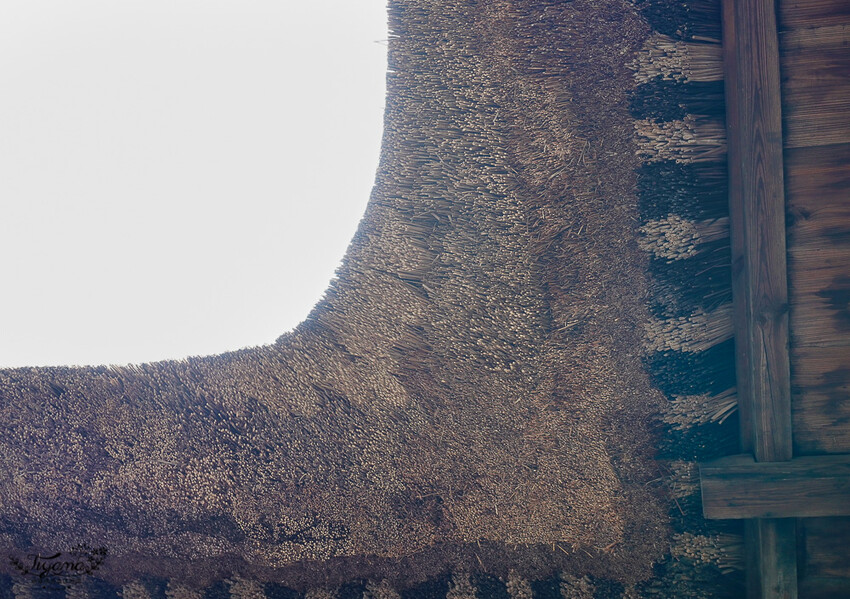 群馬沼田古民宅蘋果披薩體驗&老神溫泉一日遊!南鄉曲屋|吹割瀑布|新井耕吉郎紀念碑|金子果園|仙鄉溫泉 @緹雅瑪 美食旅遊趣