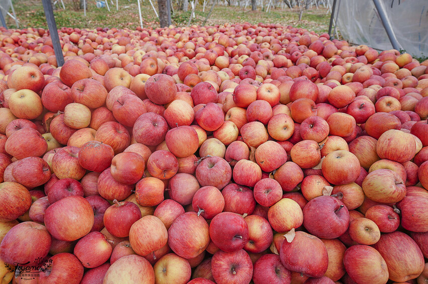 群馬沼田古民宅蘋果披薩體驗&老神溫泉一日遊!南鄉曲屋|吹割瀑布|新井耕吉郎紀念碑|金子果園|仙鄉溫泉 @緹雅瑪 美食旅遊趣