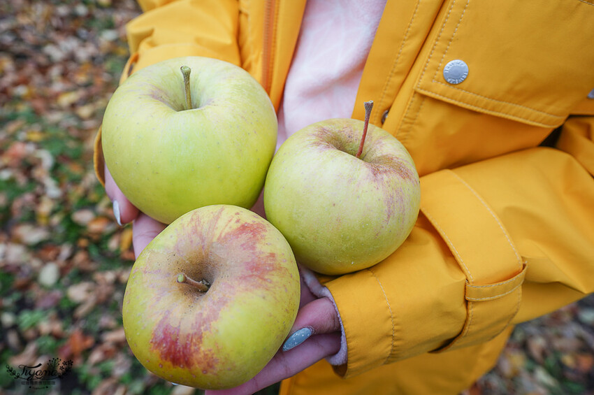 群馬沼田古民宅蘋果披薩體驗&老神溫泉一日遊!南鄉曲屋|吹割瀑布|新井耕吉郎紀念碑|金子果園|仙鄉溫泉 @緹雅瑪 美食旅遊趣